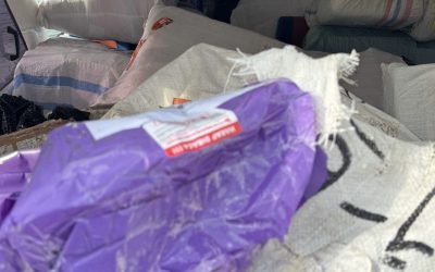 12b1a9a6-fdc1-45a6-bdb5-894f0d9d7d77 12b1a9a6-fdc1-45a6-bdb5-894f0d9d7d77