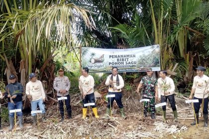 Daerah