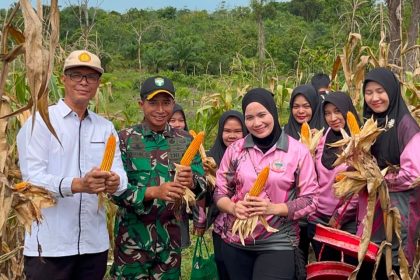 Daerah